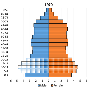 The Baby Boom And The Aging Of Florida’s Population – B.E.B.R. – Bureau ...